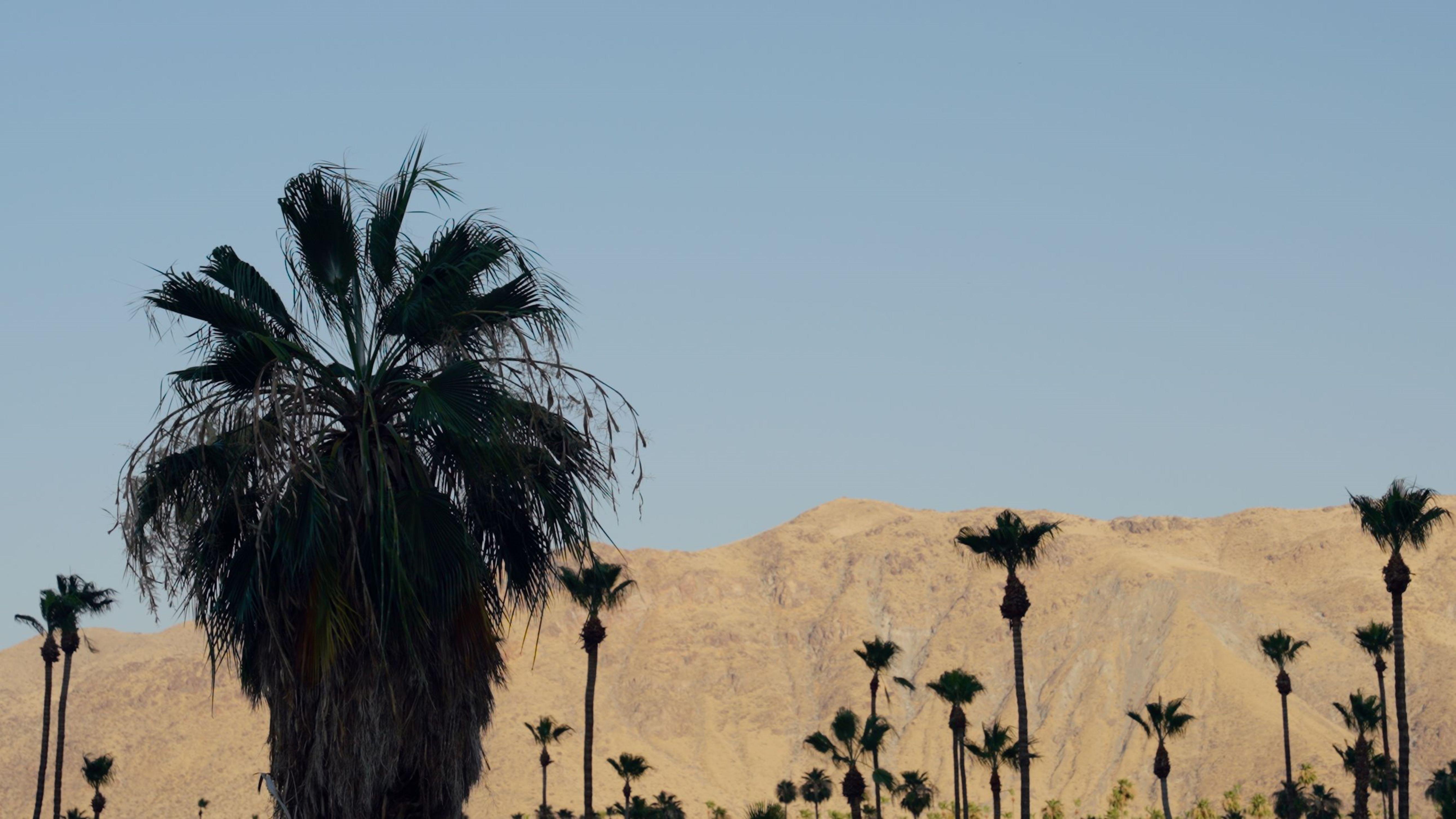 Royal Sun Palm Springs Hotel Eksteriør billede