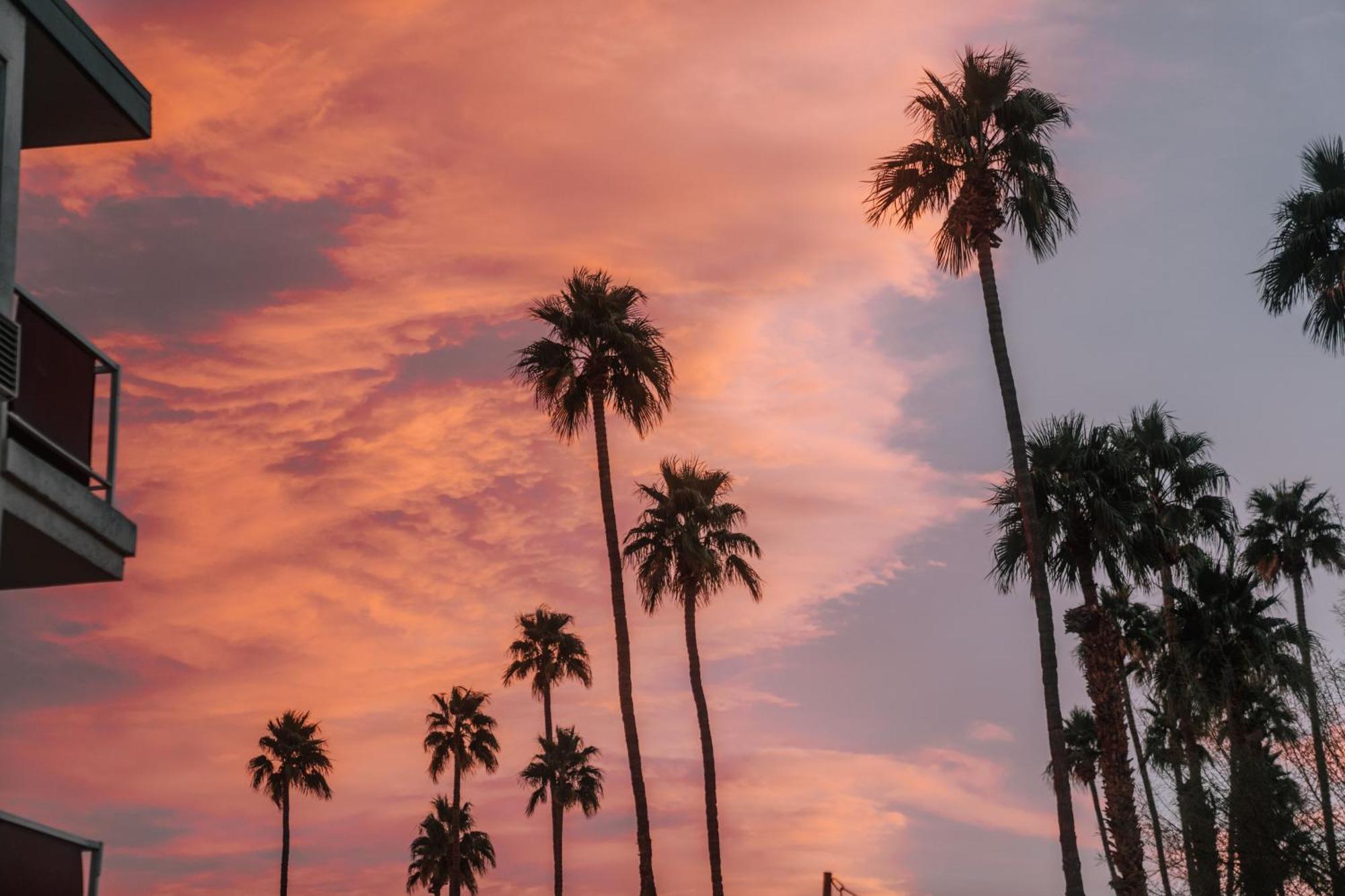Royal Sun Palm Springs Hotel Eksteriør billede